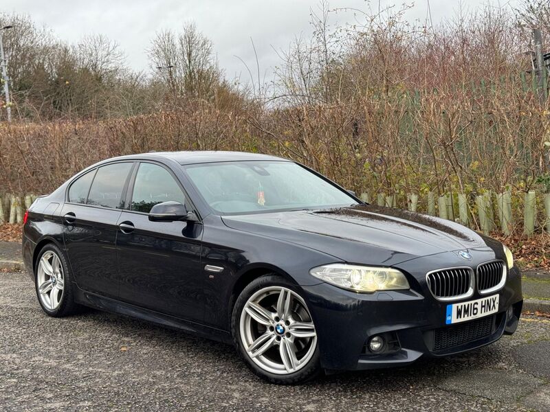 View BMW 5 SERIES 2.0 520d M Sport Auto Euro 6 (s/s) 4dr